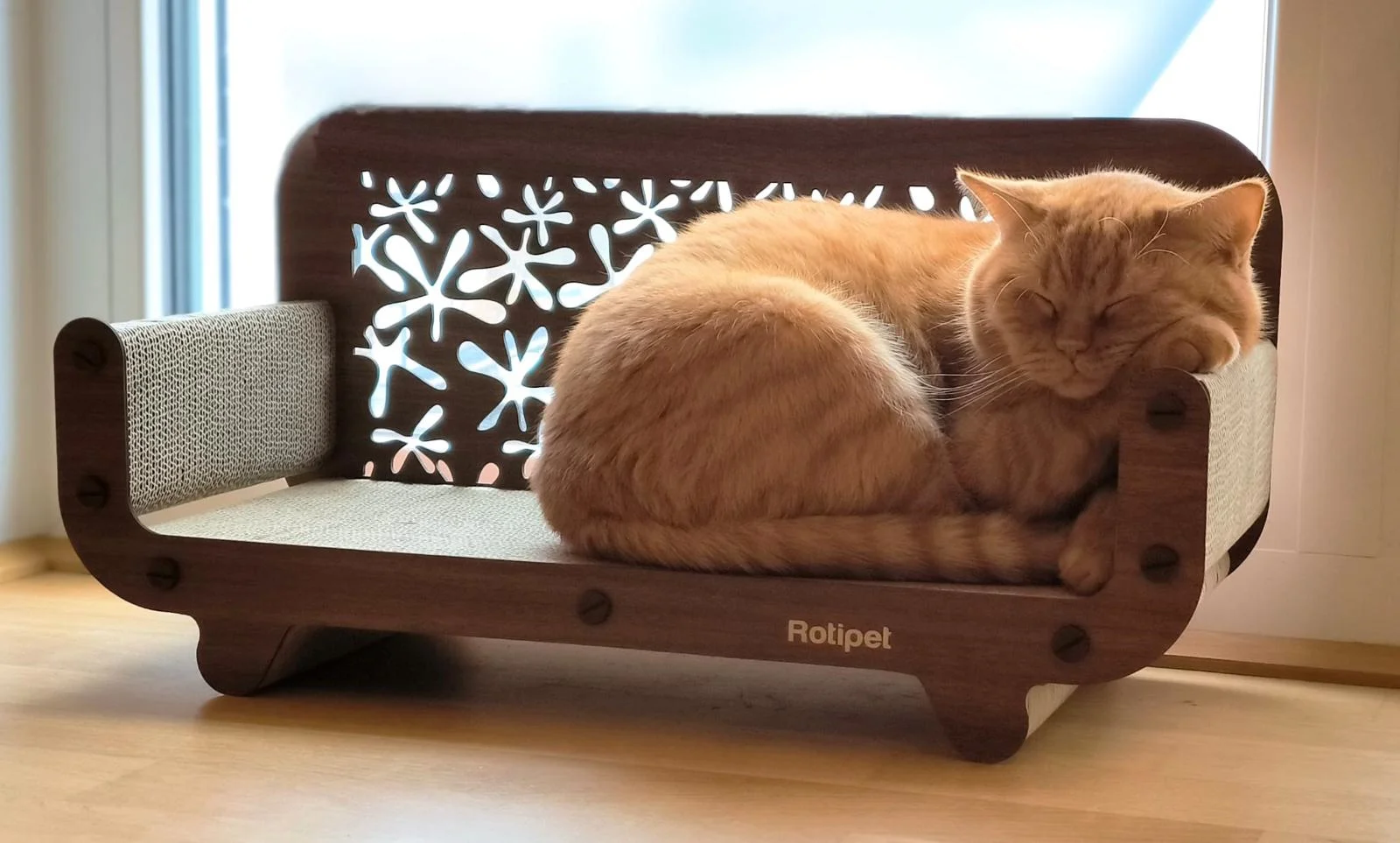 Katze mit Catvey-Kratzmöbel